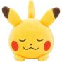 Pokémon Center Original Nigitte Munimuni Plush Minna Otsukaresama Pikachu
