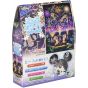 TENYO - DISNEY Tic & Tac - Jigsaw Puzzle 266 pièces DPG-266-573