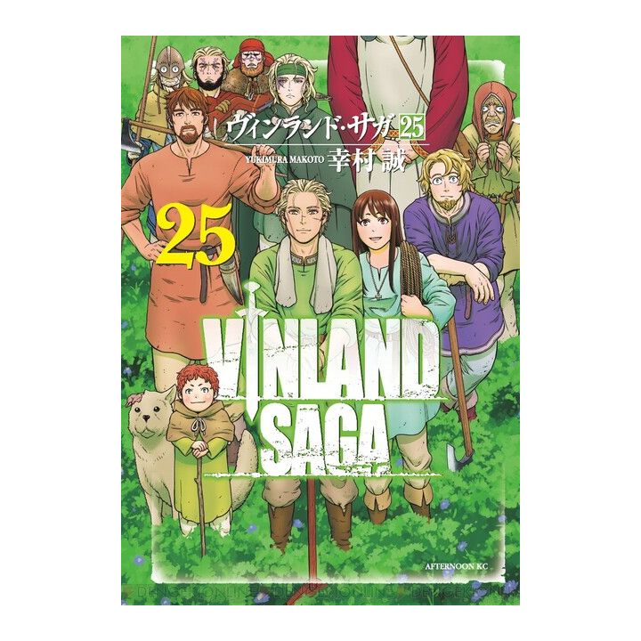 Vinland Saga vol.25 - Afternoon Comics (Japanese version)