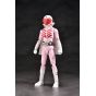 Evolution Toy - Hero Action Figure Series -Toei Ver. - Himitsu Sentai Gorenger - Momoranger & Midoranger Figure