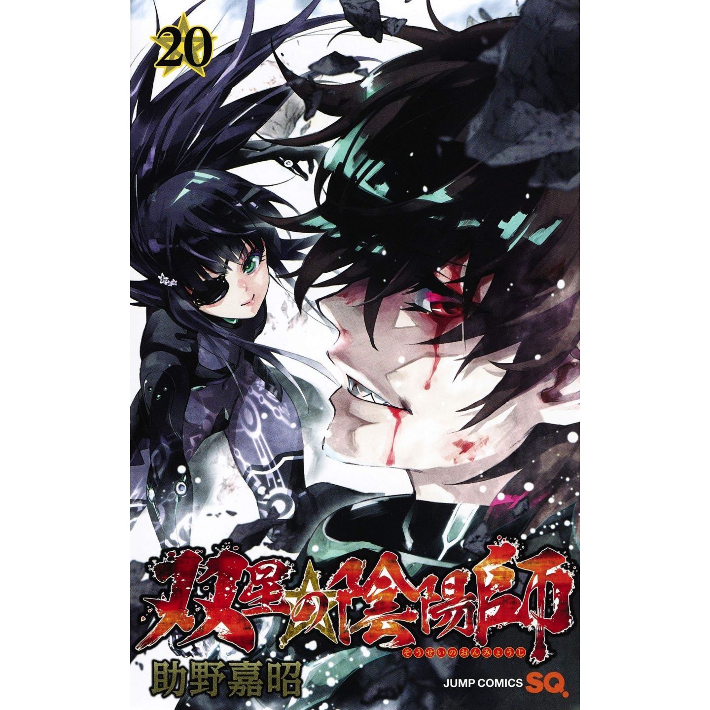 双星の陰陽師 ジャンプコミックス 双星の陰陽師 ジャンプコミックス