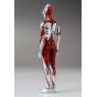 THREEZERO - Shin Ultraman FigZero S 6-inch Ultraman Figure