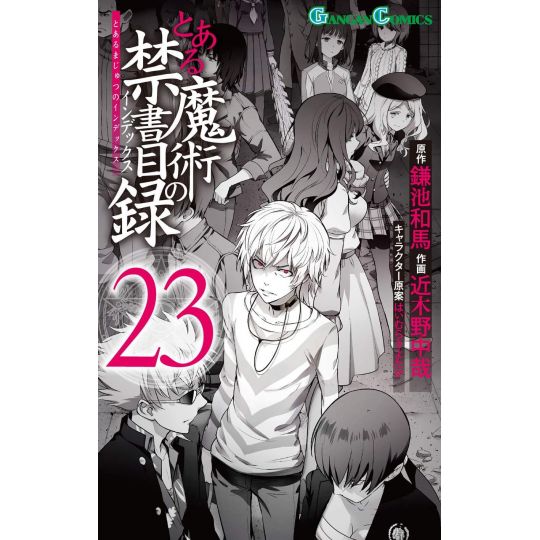 Light Novel Volume 23/Illustrations