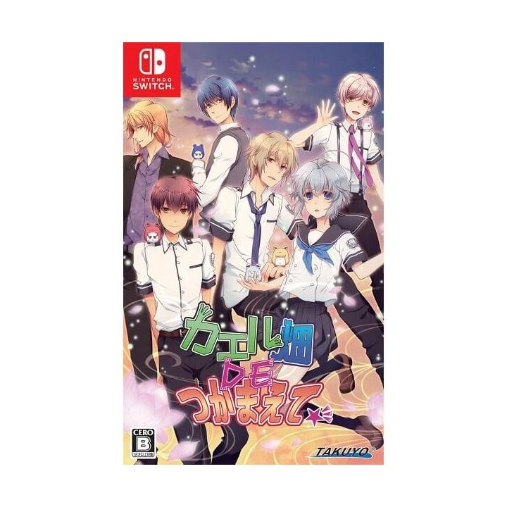 Takuyo Kaeru Batake de Tsukamaete NINTENDO SWITCH