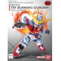 BANDAI SD GUNDAM EX-STANDARD GUNDAM BUILD FIGHTERS TRY - Super deformed TRY BURNING GUNDAM Model Kit Figure (Gunpla)