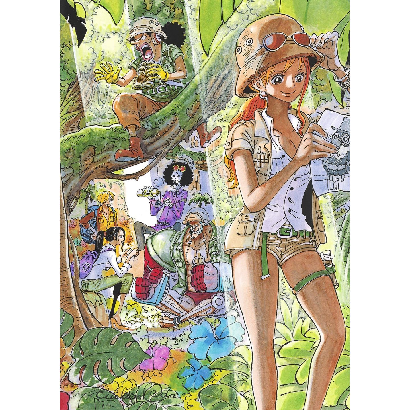 Onepieceイラスト集 Colorwalk 9 Tiger 愛蔵版コミックス