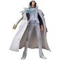 Figuarts Zero One Piece "Aokiji" Kuzan Figure