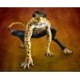 MEGAHOUSE - P.O.P Portrait of Pirates One Piece - MAS - Rob Lucci ver.leopard 'Kami-e Form' Figure