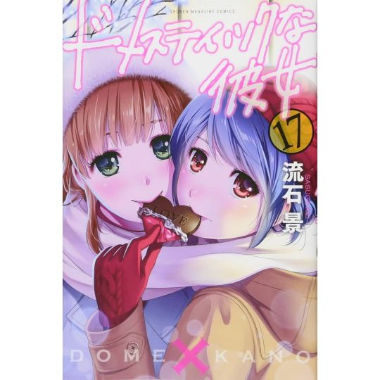 Love × Dilemma (Domestic na Kanojo) vol.17 - Kodansha Comics (Japanese version)