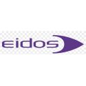 EIDOS INTERACTIVE